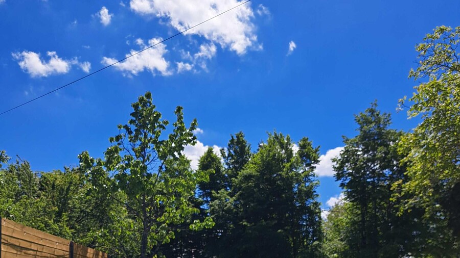 Apartments Villa Mavi