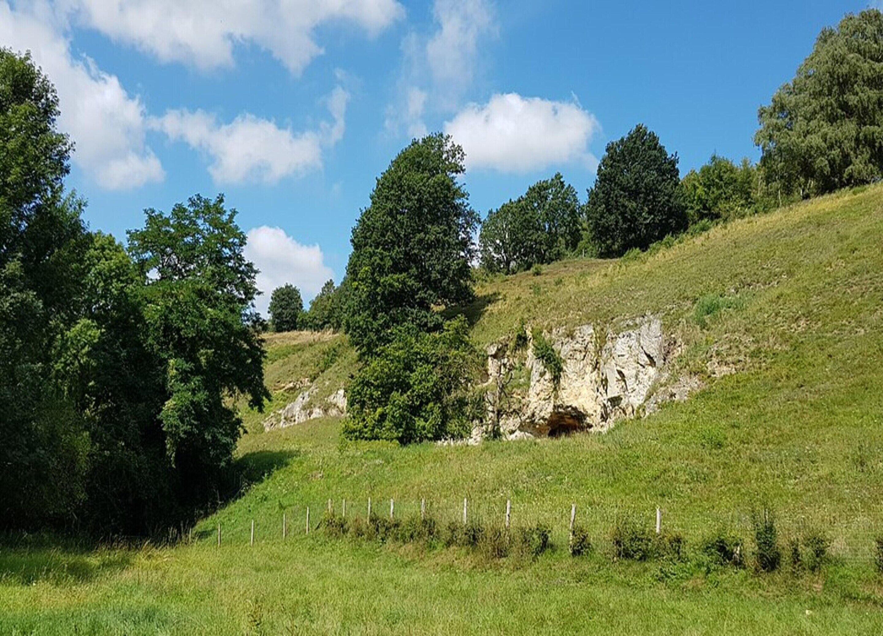 A grassy hillside with trees and a rocky outcrop.