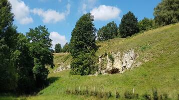 A grassy hillside with trees and a rocky outcrop.
