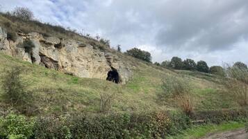 A rocky hillside with a cave entrance, a dirt path, and sparse vegetation.