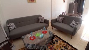 Un salon avec deux canapés, une table basse et un tapis à motifs.