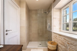 Shower, hair dryer, towels