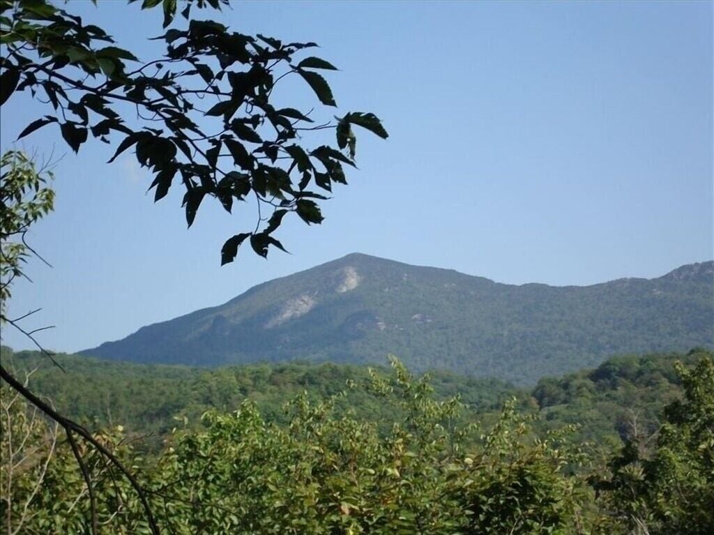 A mountain landscape with dense forest in the foreground and a clear sky.