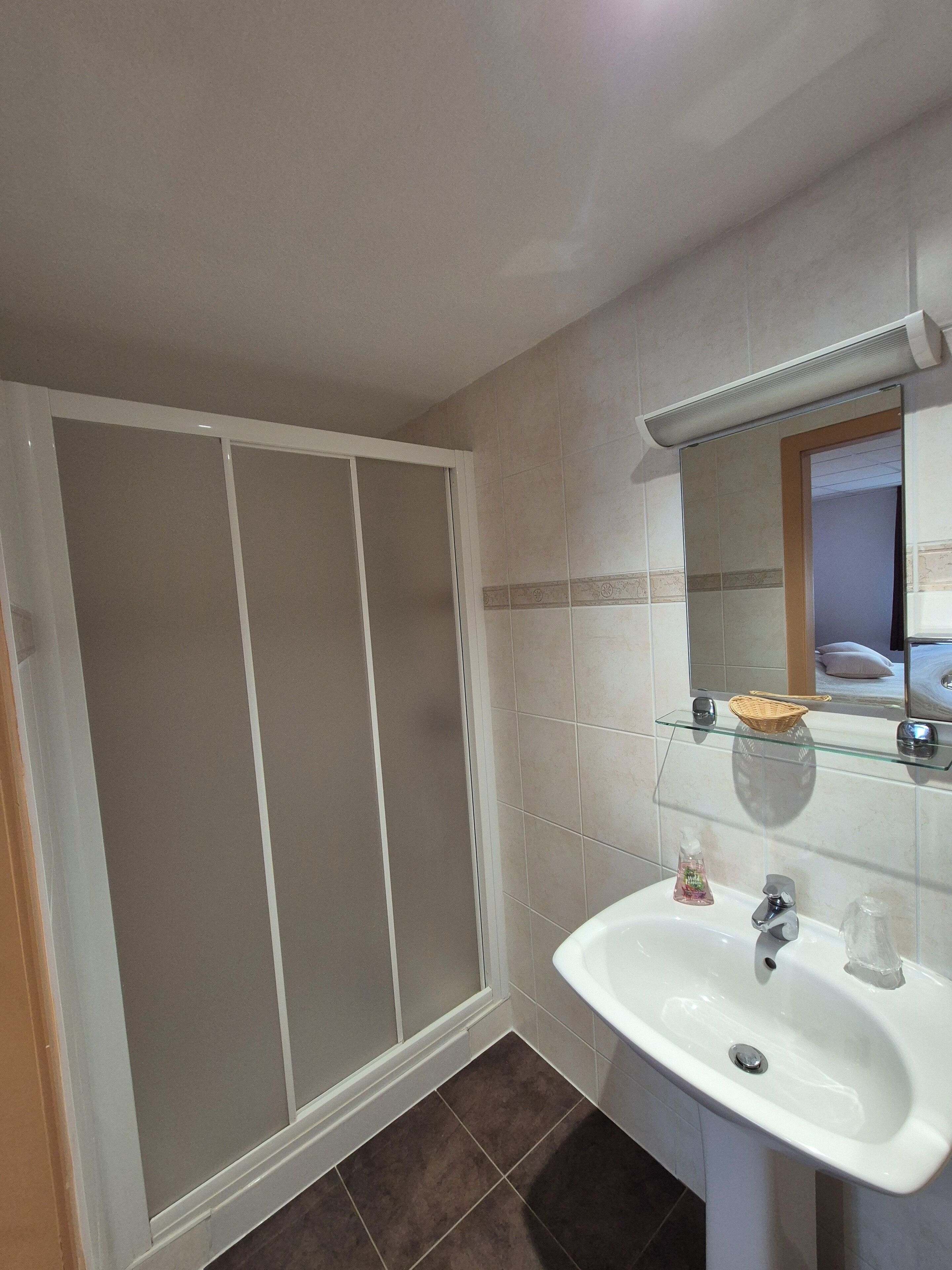 Een badkamer met een wit wastafel, een spiegel en een douchecabine.