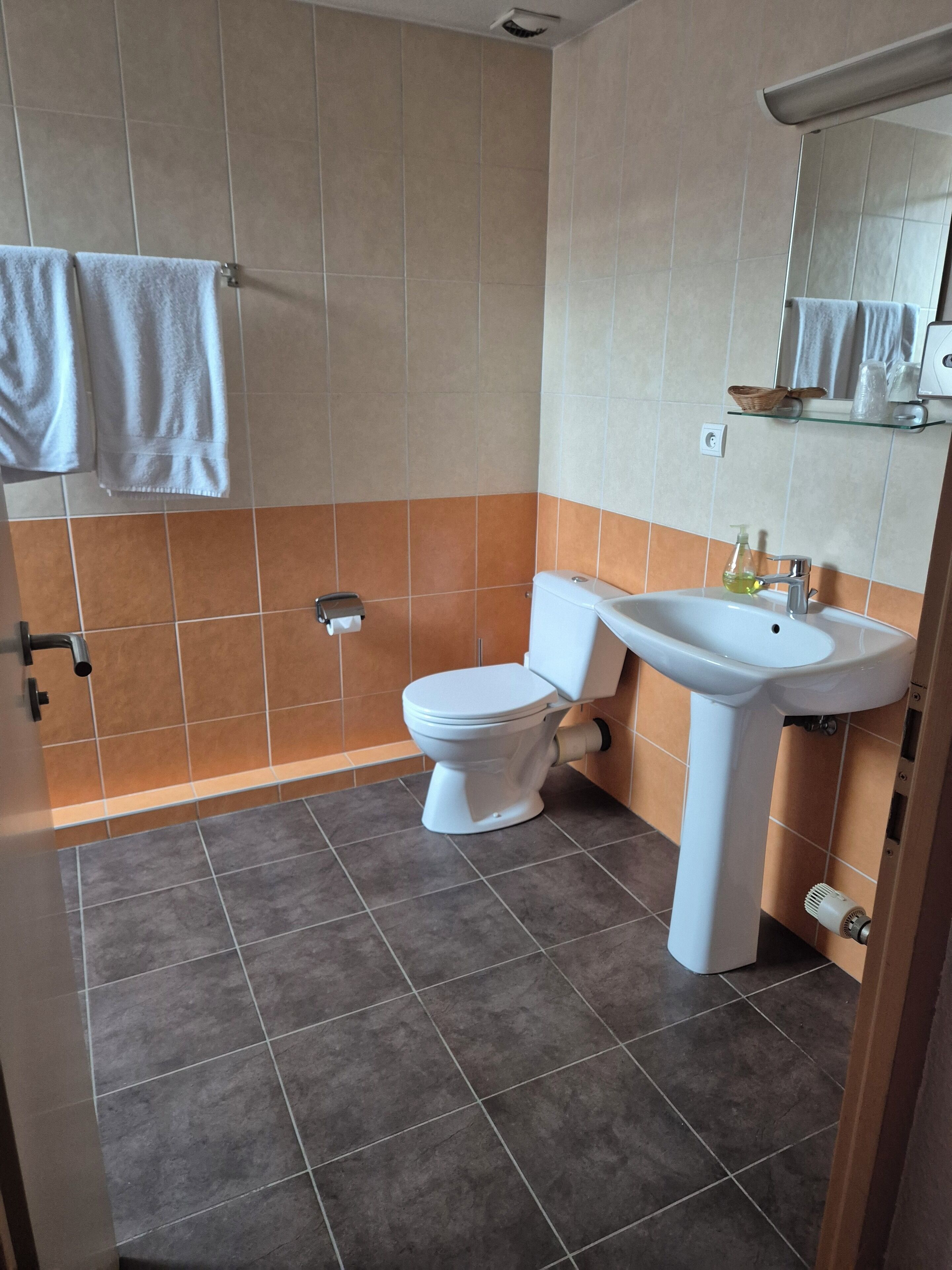 A bathroom with a toilet, sink, and shower.