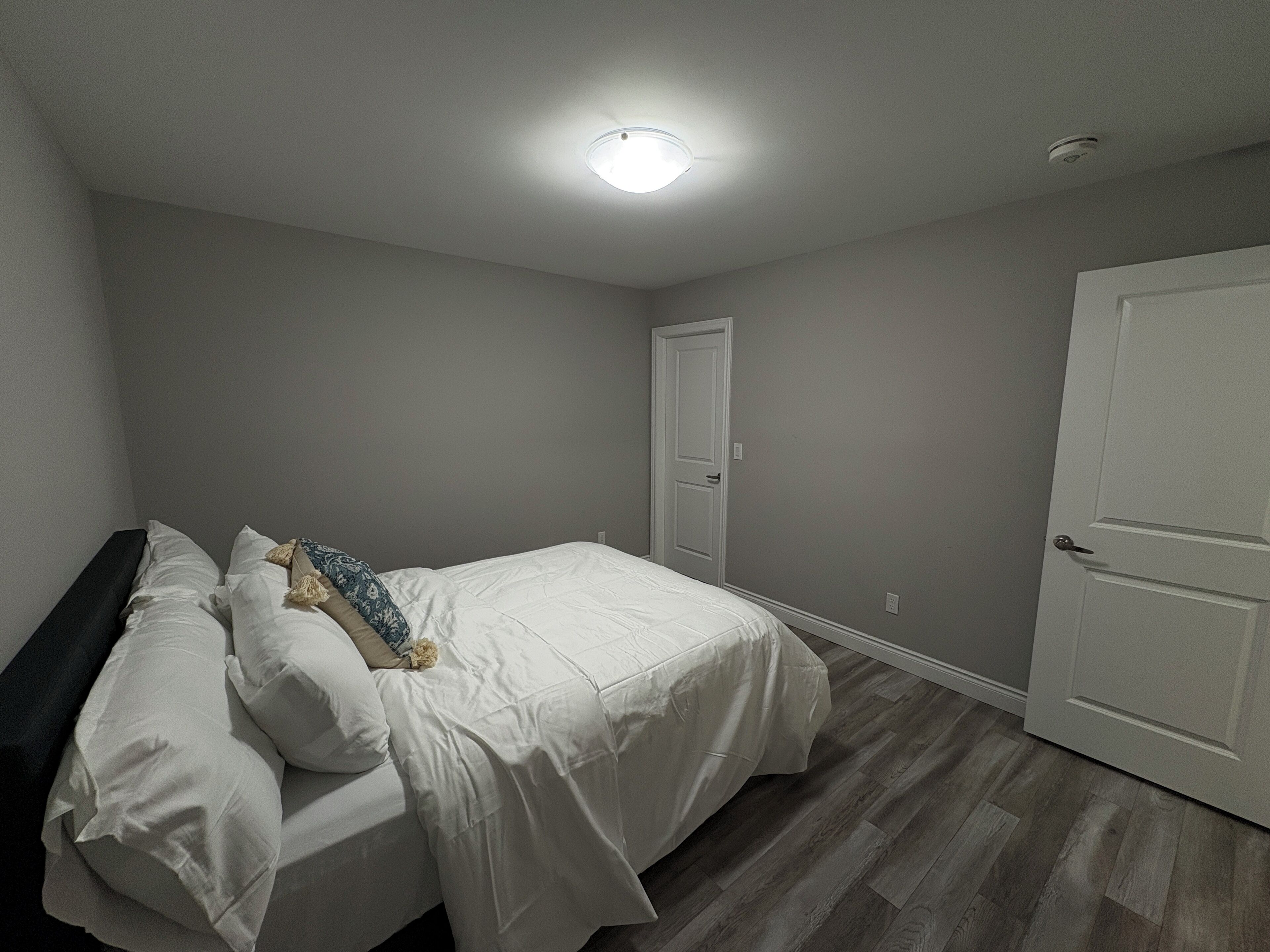 A bedroom with a bed, a door, and a ceiling light.