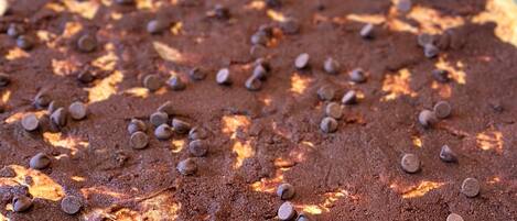 A chocolate dessert with chocolate chips on a tray.