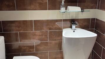 Hair dryer, towels, soap, toilet paper