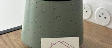 A potted plant in a speckled ceramic pot on a wooden surface with a sign reading "L'obsidienne CHAMBRE D'HÔTES" and a logo.