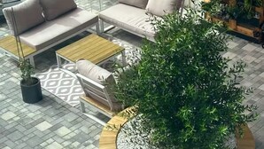Un espace patio aménagé avec un ensemble de canapés, une table basse et un jardinier circulaire contenant un arbre.