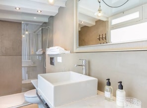 Shower, hair dryer, towels, toilet paper
