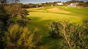 Un terrain de golf avec un mât de drapeau, entouré d’une végétation luxuriante et de quelques bâtiments en arrière-plan.