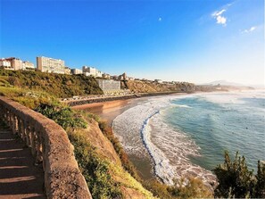 Playa en los alrededores 