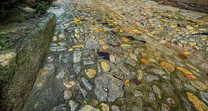 Villa Dolores Apartments - Unit 6