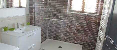 Shower, hair dryer, soap, toilet paper