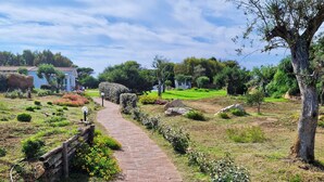 Un sendero pavimentado que atraviesa un área ajardinada con árboles y arbustos.