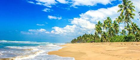Beach/ocean view