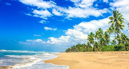 Oasis Ayurveda resort