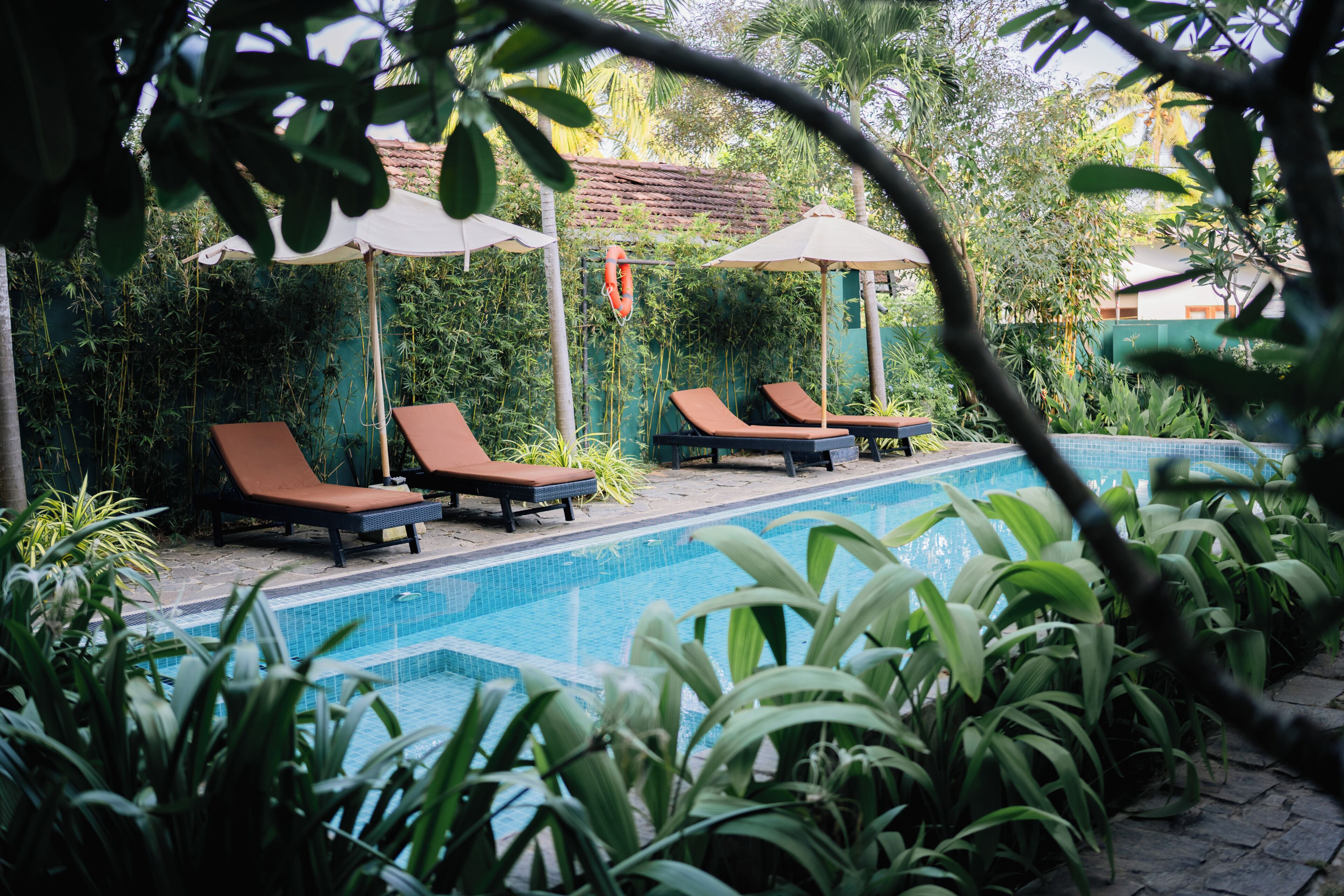 A swimming pool with lounge chairs and umbrellas, surrounded by lush greenery.