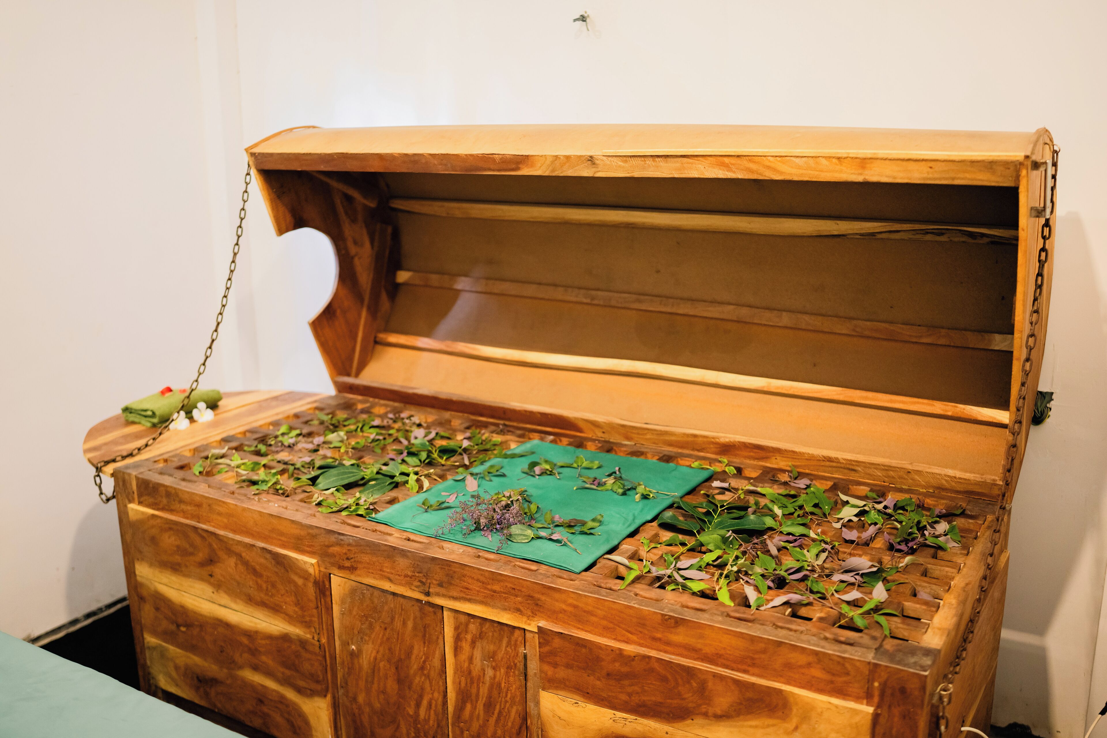 A wooden chest with a hinged lid, containing various green leaves and branches.