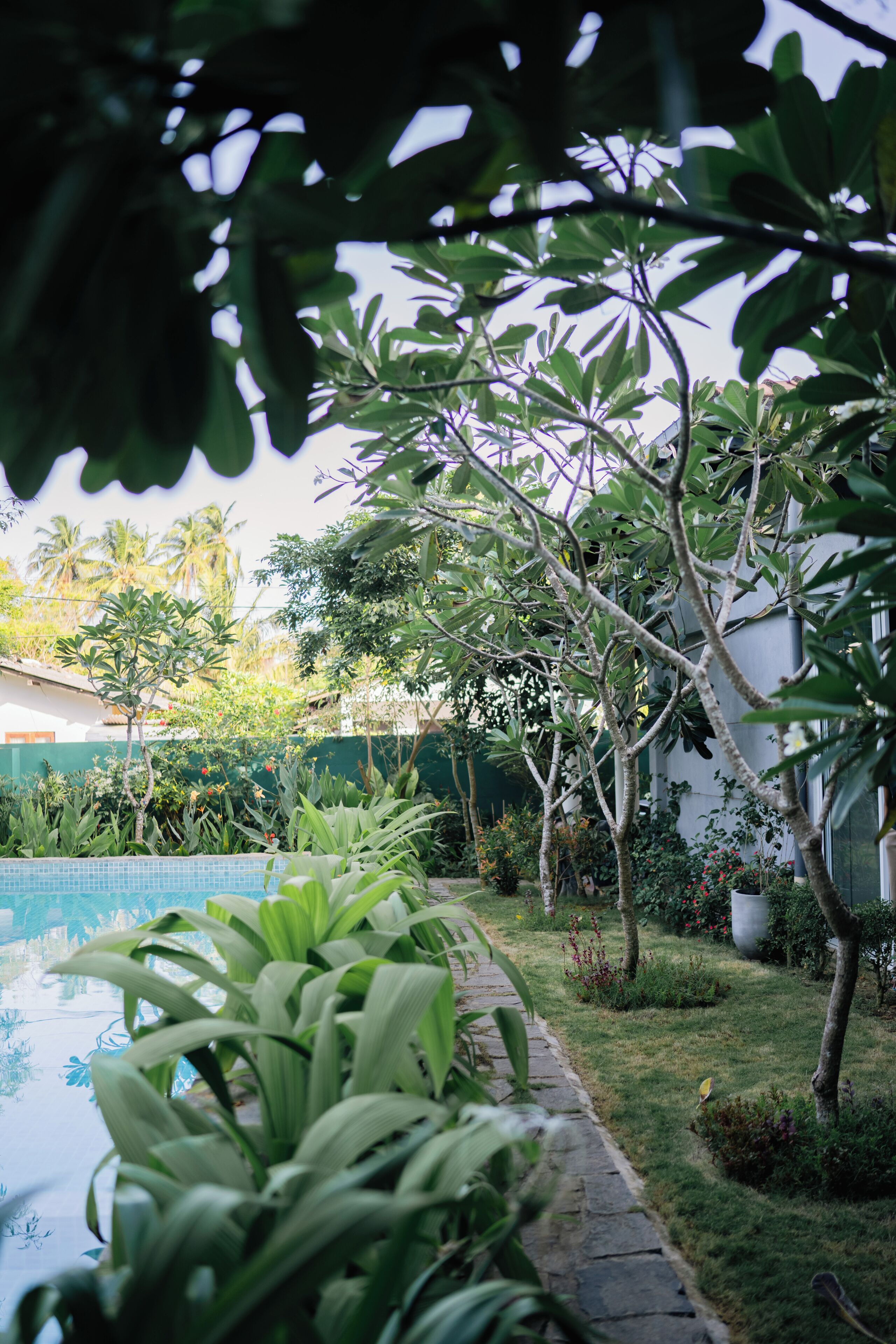 A garden with a swimming pool, various plants, and a white building in the background.