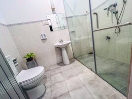 Ducha, toallas, jabón, papel higiénico
