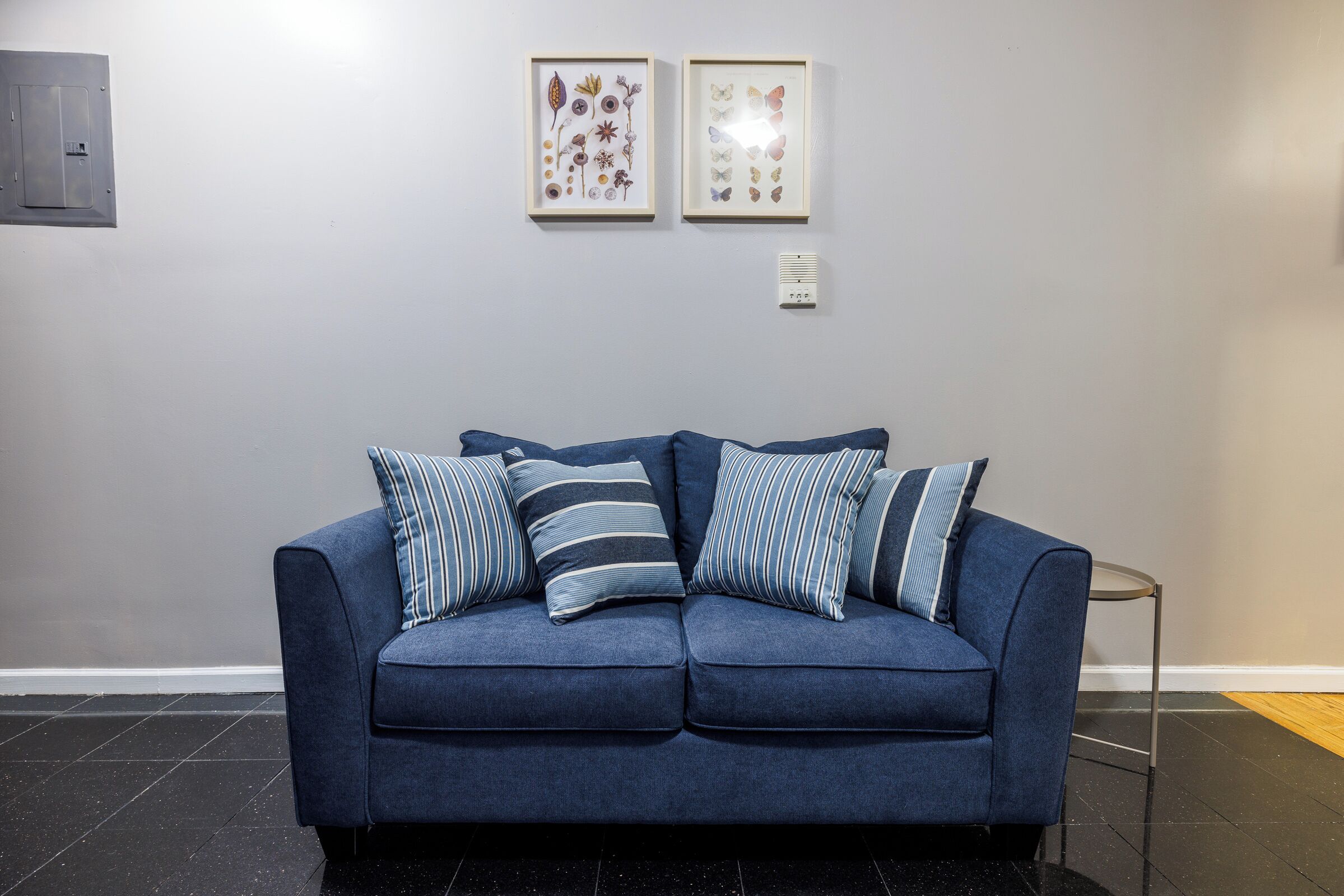 A blue sofa with striped pillows, a framed botanical print, and a thermostat on the wall.