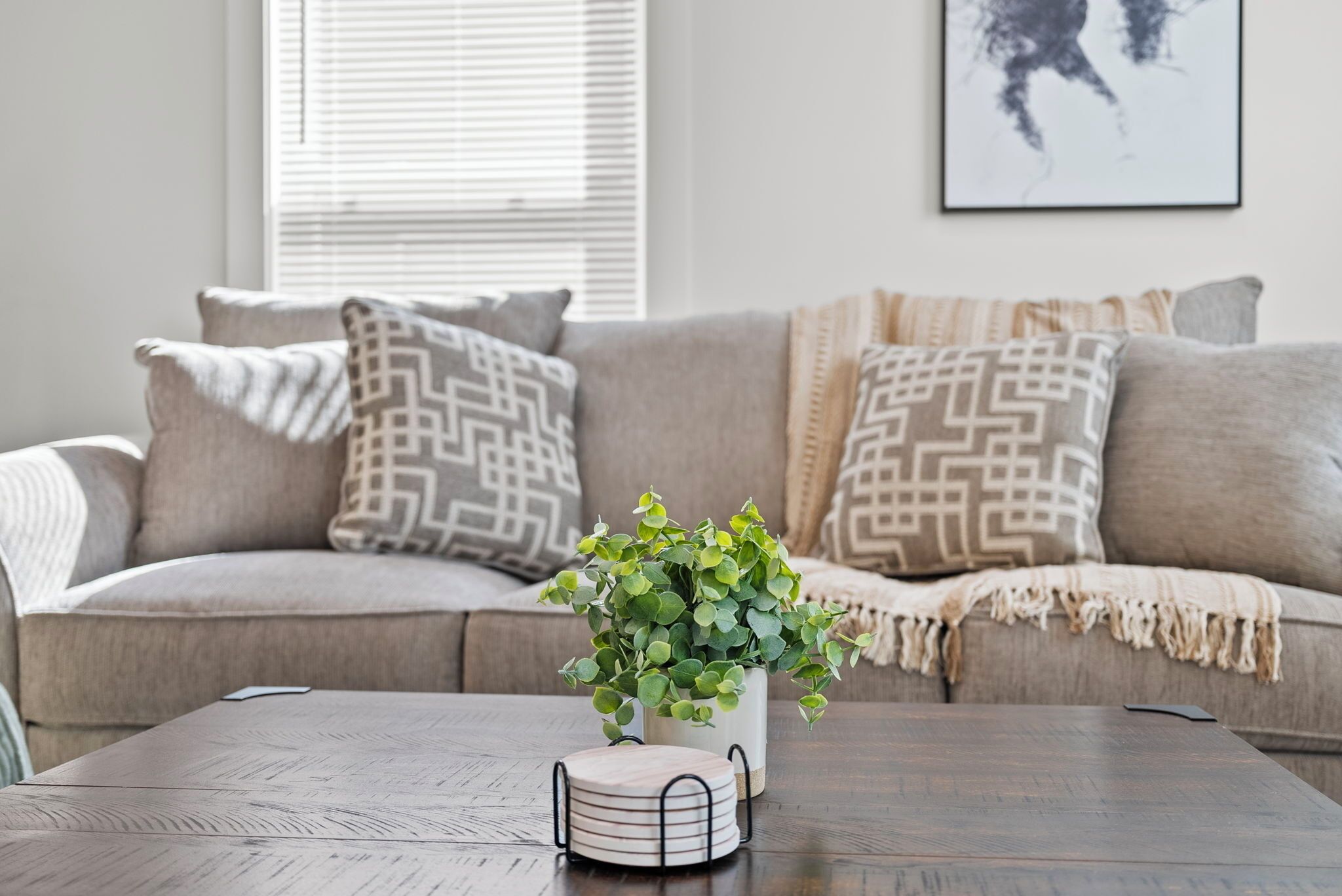 A living room with a beige sofa, patterned cushions, a wooden coffee table, and a potted plant.