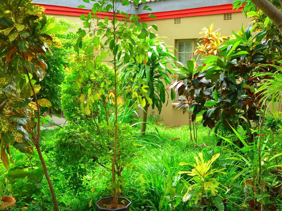 Jardín