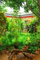 Jardín
