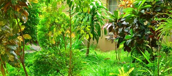 Chobe Kulotu Guest House 
