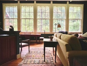 Smart TV, fireplace, books