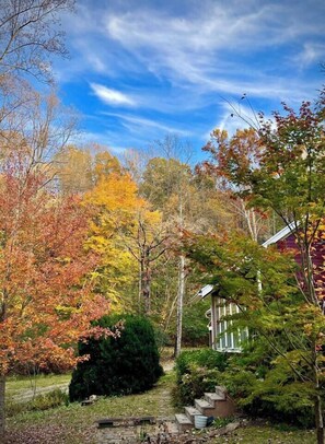 Property grounds - Spindle Hill Farm’s School House ~ EV/ pond on 50 acres with Mountain Views (Nellysford)