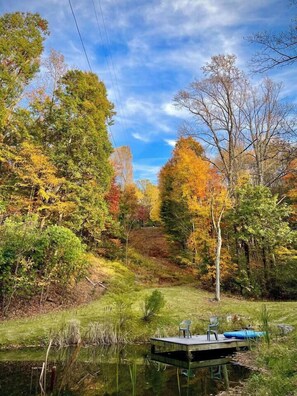 Miscellaneous - Spindle Hill Farm’s School House ~ EV/ pond on 50 acres with Mountain Views (Nellysford)