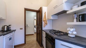 Fridge, oven, stovetop, dishwasher