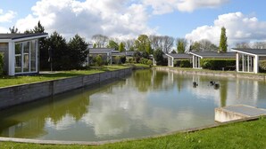 Een rustig zwembadterras met moderne gebouwen, een heldere lucht en weelderig groen.