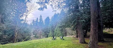 A grassy area with two chairs and a large tree in the foreground.