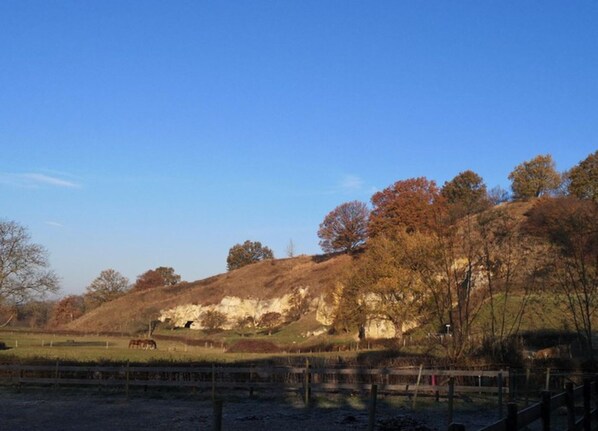 Un paysage rural avec un cheval qui broute, un espace clôturé et des arbres sur une colline.