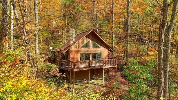 Eine Hütte mit Balkon, umgeben von einem Wald.