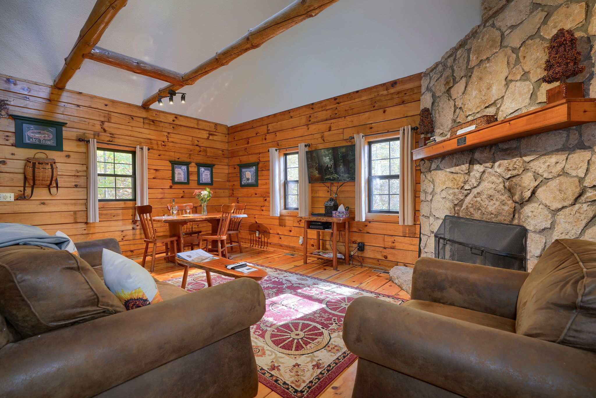 Televisión y chimenea 