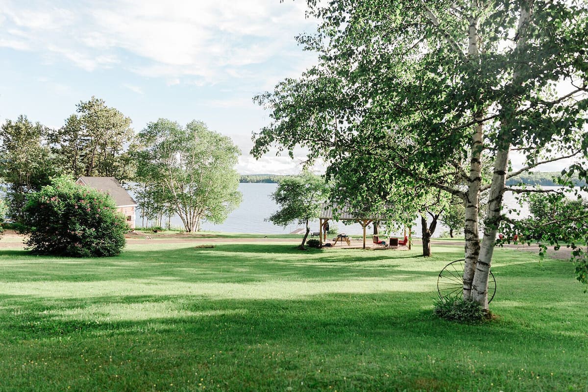 A grassy area with a gazebo, a small tree, and a body of water in the background.