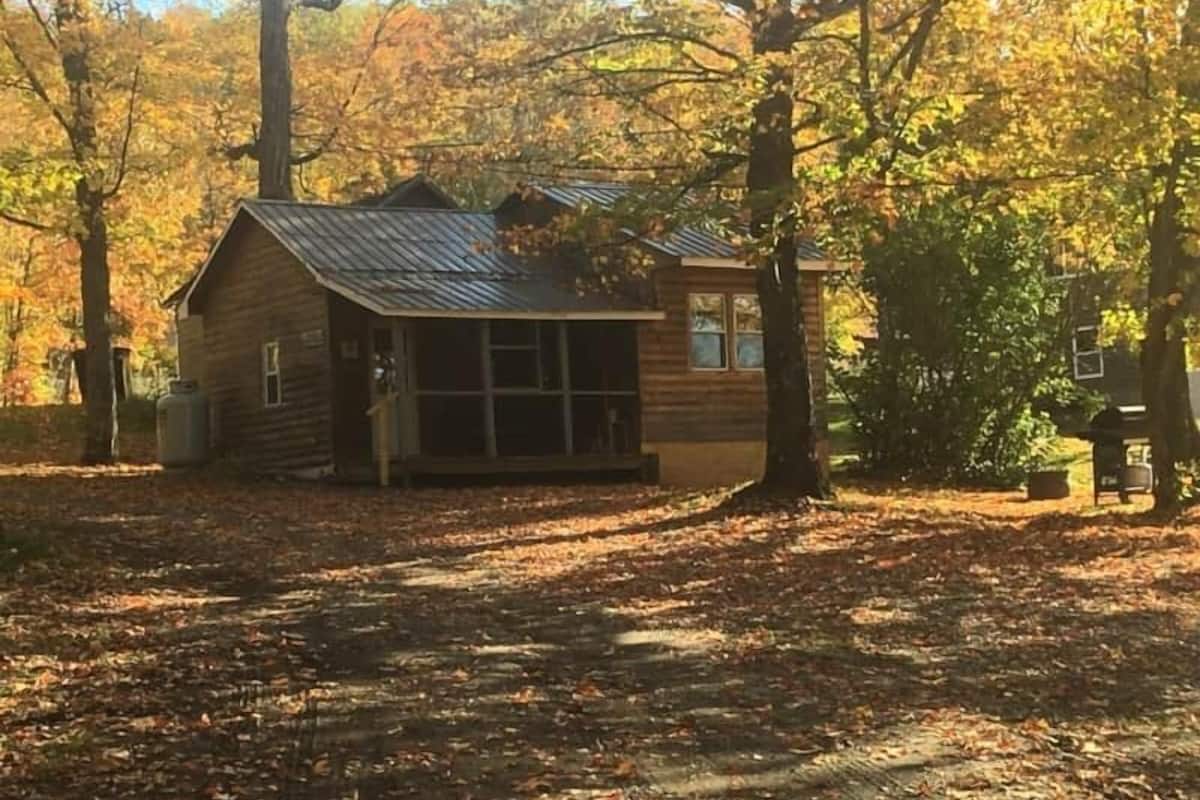 A rustic cabin with a metal roof, surrounded by trees with autumn foliage.
