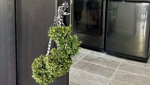 A kitchen with a black refrigerator, a black oven, and a washing machine. There is a small potted plant with a ribbon on the refrigerator door. - Charming 4-bedroom house with WiFi and AC in enchanting Houston (Houston)