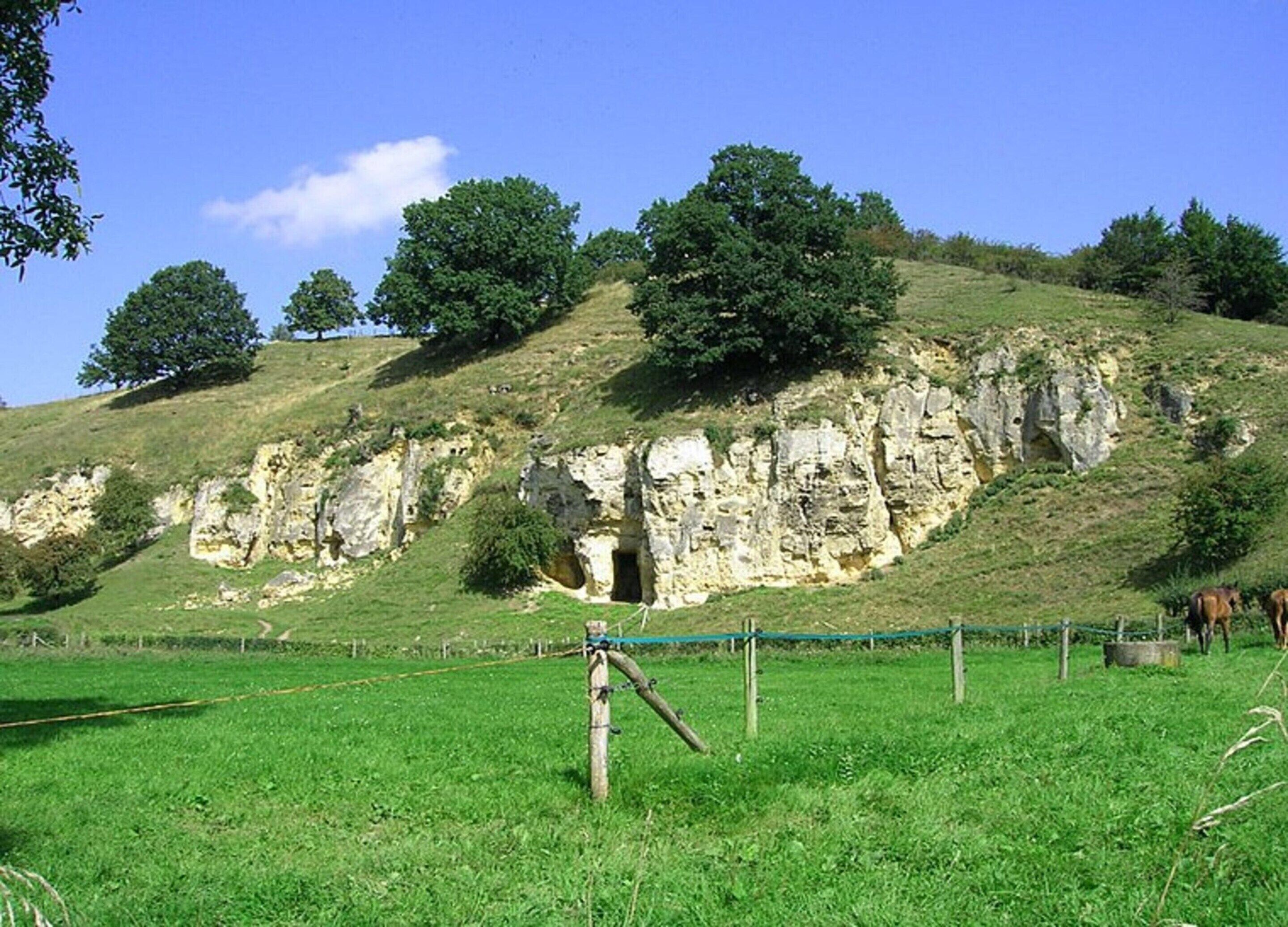 A grassy field with a rocky hillside and a cave entrance.