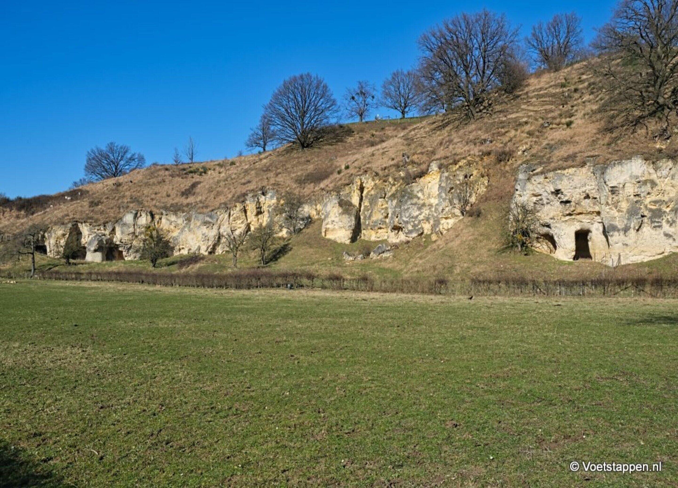A grassy field with a rocky hillside featuring cave-like structures.