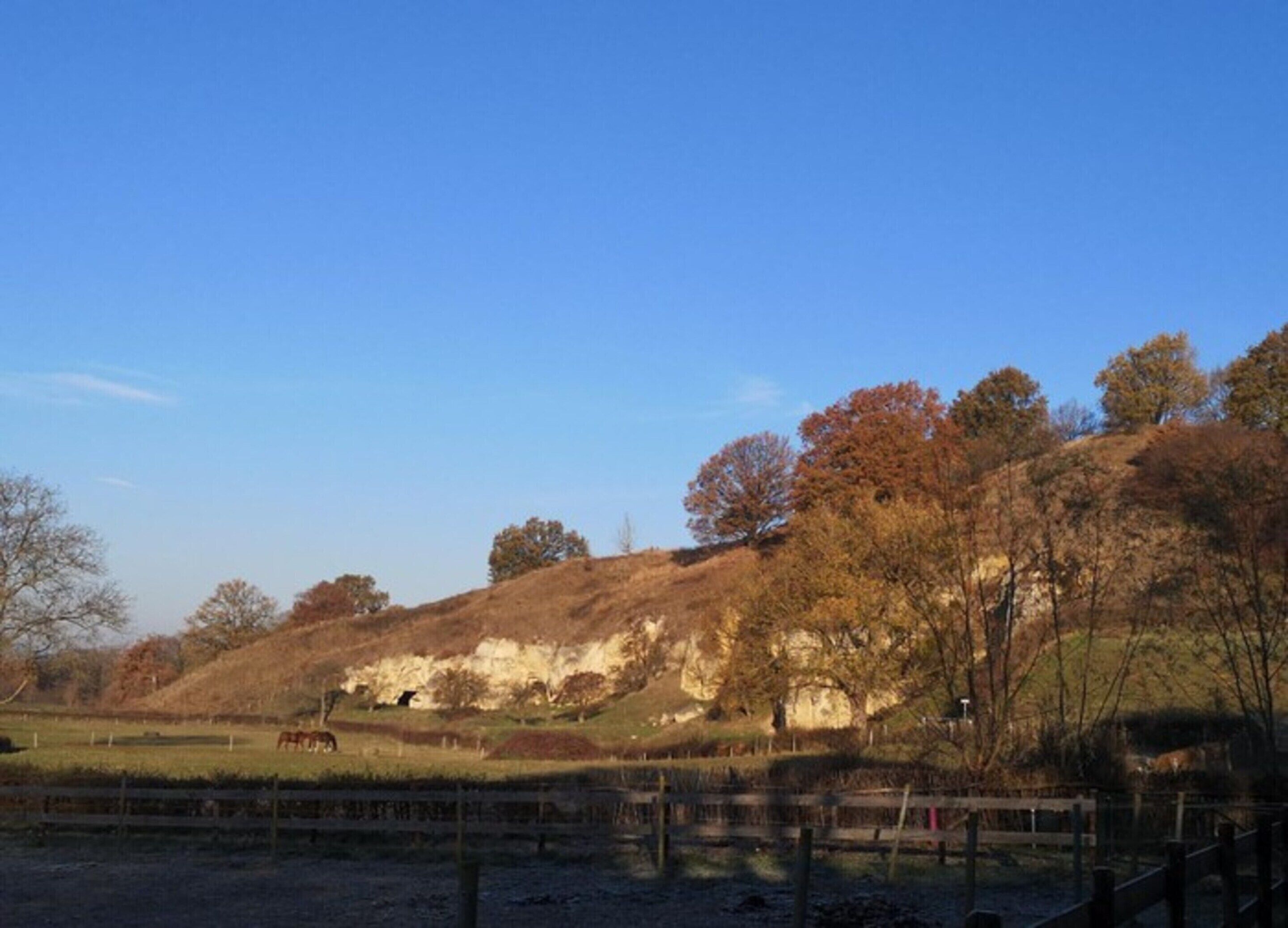 Een landelijk landschap met een paard dat graast, een omheind gebied en bomen op een heuvel.