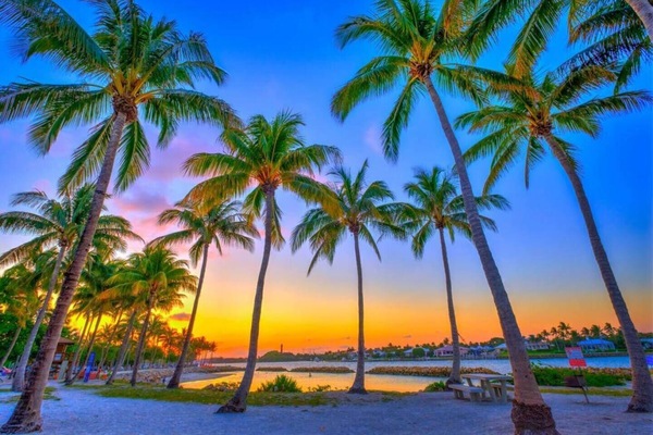 Gandules de platja i tovalloles de platja