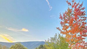 A rural landscape with a wooden fence, grassy fields, and trees with autumn foliage. - Room 4 - Prickly Pear double room (Manchester)