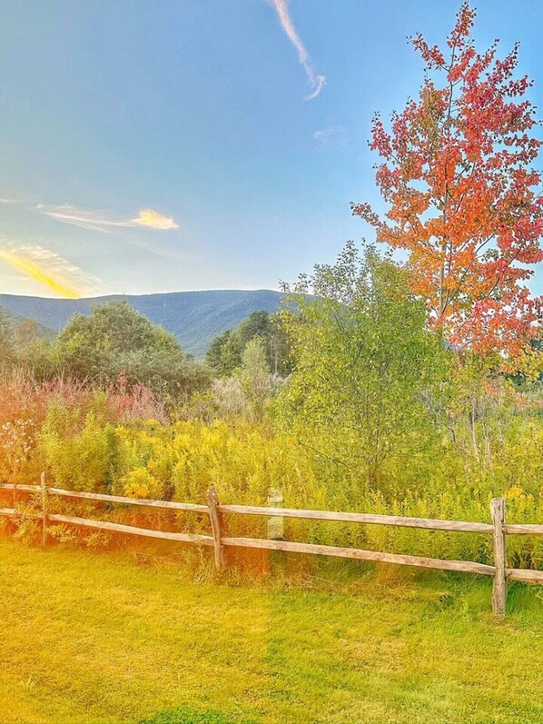 A rural landscape with a wooden fence, grassy fields, and trees with autumn foliage.
