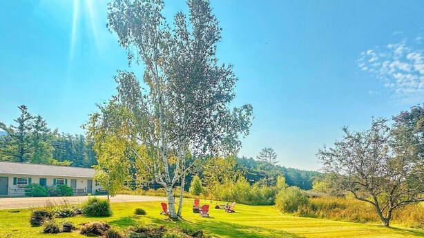 A grassy area with trees, a building, and red chairs. - Room 4 - Prickly Pear double room (Manchester)